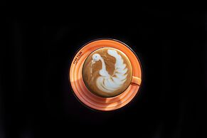 Afro Park Hotel and Health Club