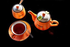 Afro Park Hotel and Health Club