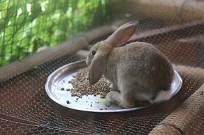 Hotel Porton del Sol