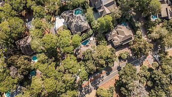 2 Spotted Sandpiper at The Sea Pines Resort
