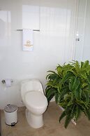 Atardeceres del cafe