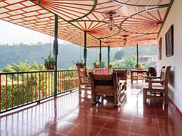 Atardeceres del cafe