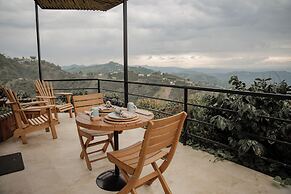 Atardeceres del cafe