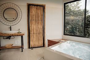 Atardeceres del cafe