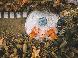 Atardeceres del cafe