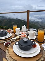 Atardeceres del cafe