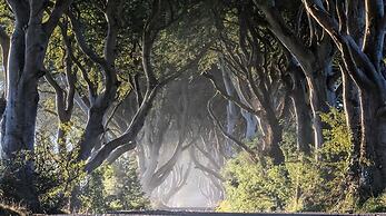 Central Belfast Apartments: Retro R&R