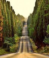 Hotel Grecale - Venturina Terme