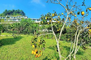 Vigolando Van Ho Resort