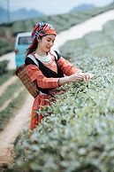 Vigolando Van Ho Resort