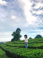 Vigolando Van Ho Resort