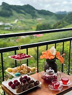 Vigolando Van Ho Resort