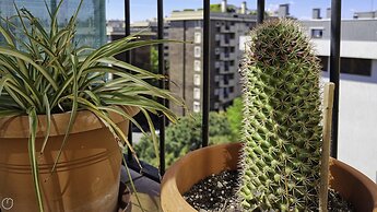 Italianway - Voghera 11A