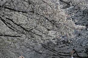 TORA HOTEL Sensoji SUNNY