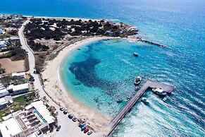 Naxos Agia Anna Sunset View Olive House