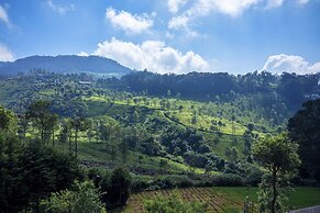 Amã Stays & Trails Werifesteria, Coonoor