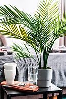 Bedrouse Czapskich 5 - Old Town