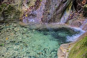 The Hamilton's Nature Villa