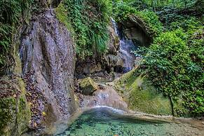 The Hamilton's Nature Villa