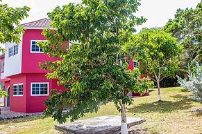 The Hamilton's Nature Villa