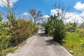 3335 Podere Li Noci by Barbarhouse