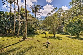 Sunny Pahoa Retreat: Snorkel, Hike & Shop!