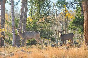 Mountain Views + Hot Tub: Airy Forest Escape!