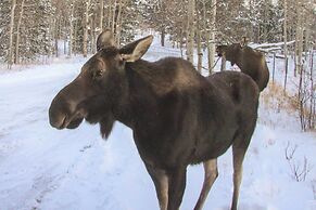 Mountain Views + Hot Tub: Airy Forest Escape!