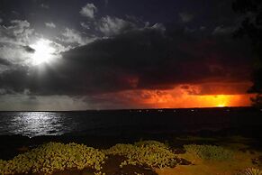 Direct Oceanfront, Big Island Home