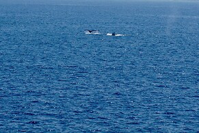 Direct Oceanfront, Big Island Home
