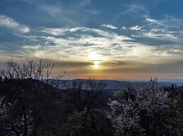 La Casa Nel Bosco D’arte - Passo del Sugame, Greve in Chianti