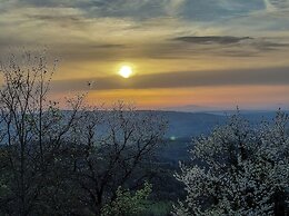La Casa Nel Bosco D’arte - Passo del Sugame, Greve in Chianti