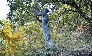 La Casa Nel Bosco D’arte - Passo del Sugame, Greve in Chianti