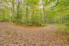 Constantia Cabin Escape > 2 Mi to Lake Oneida