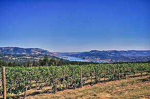 Luxury Home w/ Views - 5 Min to Columbia River