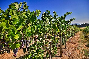 Luxury Home w/ Views - 5 Min to Columbia River