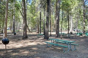 Peaceful Cabin Retreat ~ 12 Mi to Apple Hill!