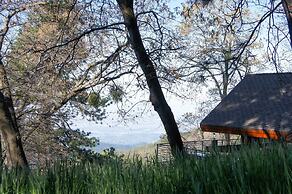Secluded Home on 1-acre Lot w/ Unparalleled Views