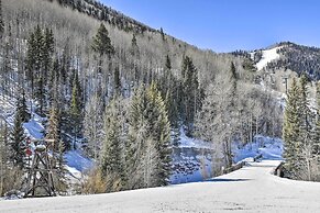 Bright Downtown Telluride Condo - Steps to Lift!