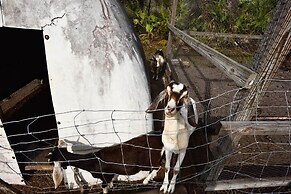 40-acre Farm w/ Animals & Fishing in Sebring!