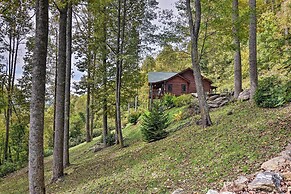 Cabin w/ BBQ + Games - Walk to Blue Ridge Parkway!