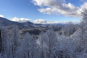 Cabin w/ BBQ + Games - Walk to Blue Ridge Parkway!