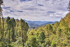 Cabin w/ BBQ + Games - Walk to Blue Ridge Parkway!