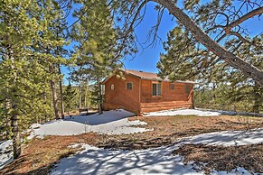 Cabin w/ Mtn Views - 5 Mi to Mueller State Park!