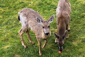 Eagles View Condo in Ocean Shores w/ 3 Balconies