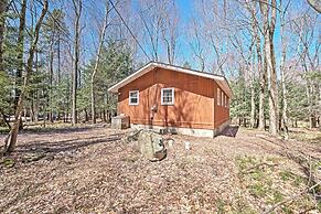 Creekside Arrowhead Lake House w/ Dock & Canoe!