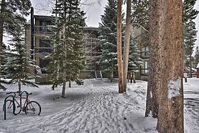 < 1 Mi to Peak 8: Ski Condo in Breck w/ Mtn Views