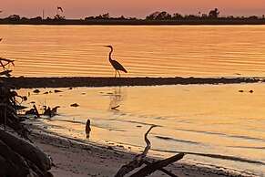 Stunning Views & Waterfront Fun: Aloe Bay Home