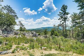 Secluded Mountain Cabin in Wardensville!