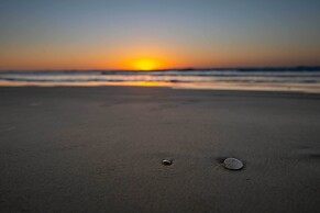 Port Aransas Condo: Community Perks, Walk to Beach